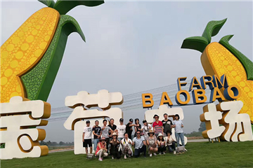 Company Team-Building Activities